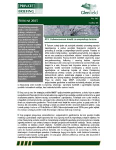 Private Briefing Februar 2025_sr